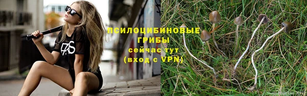 бутират Богданович