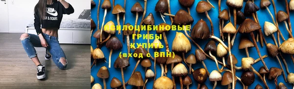героин Богородицк