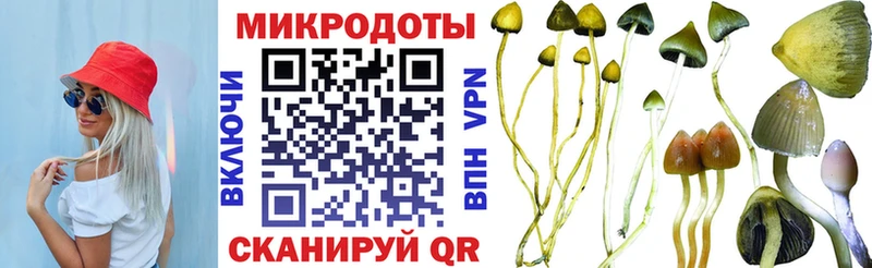 купить  сайты  Брянск  Галлюциногенные грибы Cubensis 
